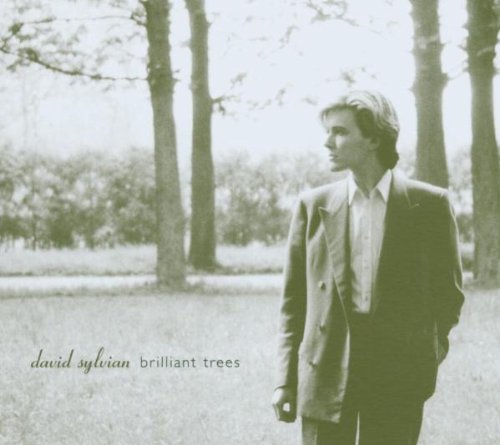 Brillant Trees - David Sylvian [CD Album] Rare - Very Good