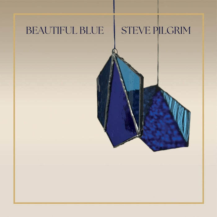 Beautiful Blue - Steve Pilgrim [CD Album] - New Sealed - Attic Discovery Shop