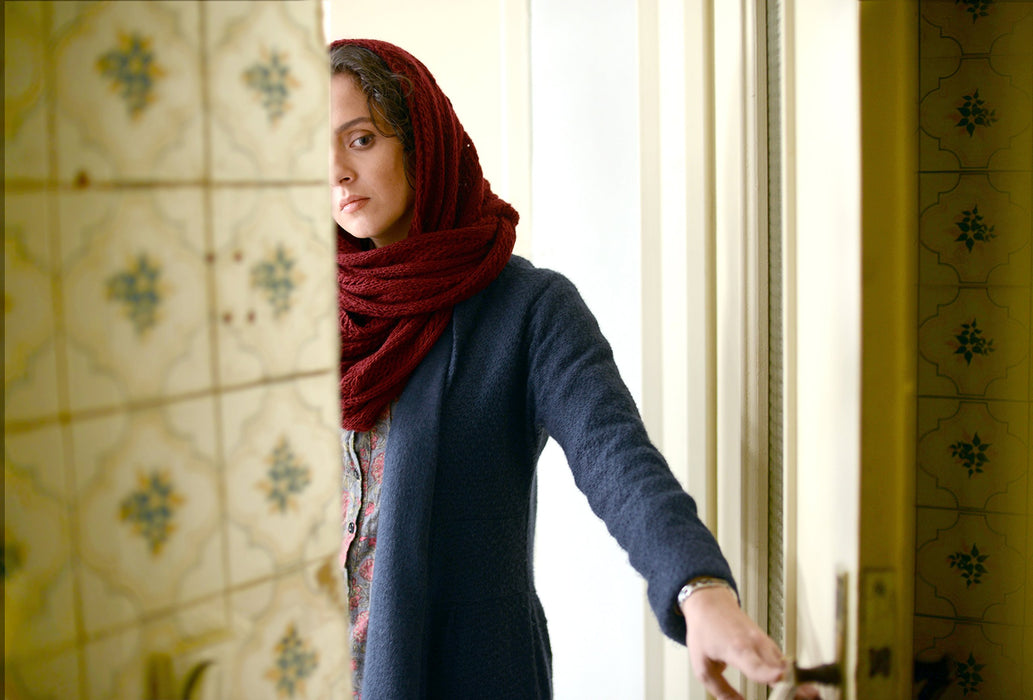 The Salesman [DVD] [2017] [Region 2] Curzon Artificial Eye Release - Like New - Attic Discovery Shop