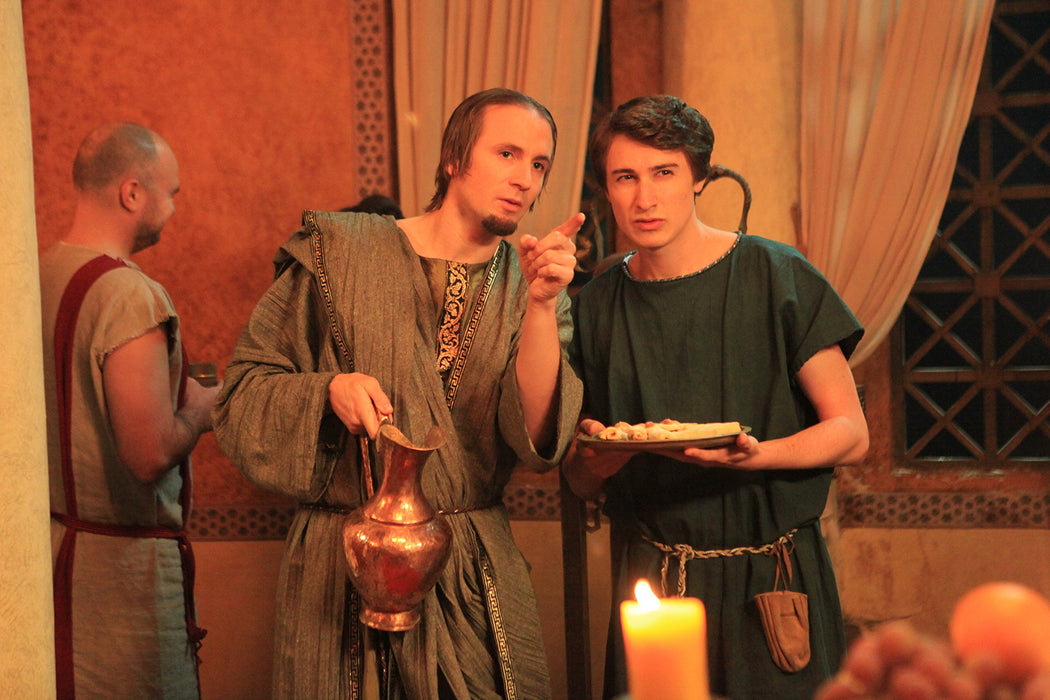 Plebs: The Complete Series 1-4 [DVD Box Set] [2018] [Region 2] - New Sealed - Attic Discovery Shop