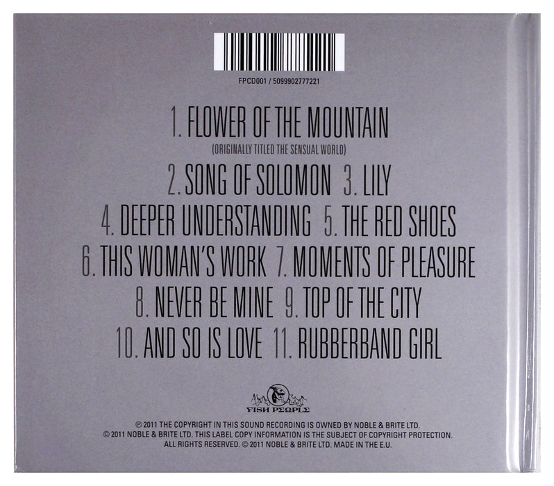Director’s Cut - Kate Bush [CD Album] - New Sealed - Attic Discovery Shop