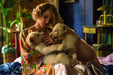 The Zookeeper's Wife [DVD] [2017] [Region 2] - New Sealed - Attic Discovery Shop