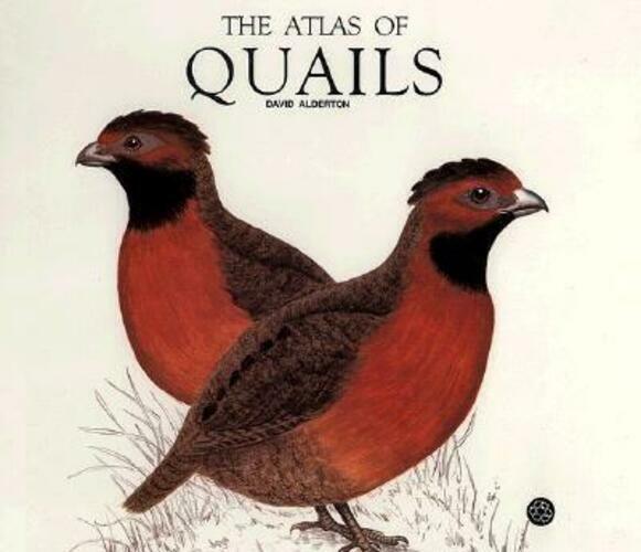 The Atlas of Quails Large Hardback Book by David Alderton 1992 USA Import GC - Good - Attic Discovery Shop