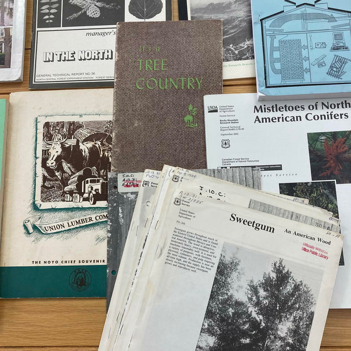 Forests / Rainforests / Trees / Forestry / Oxford US Agriculture Vtg Rare Books - Good