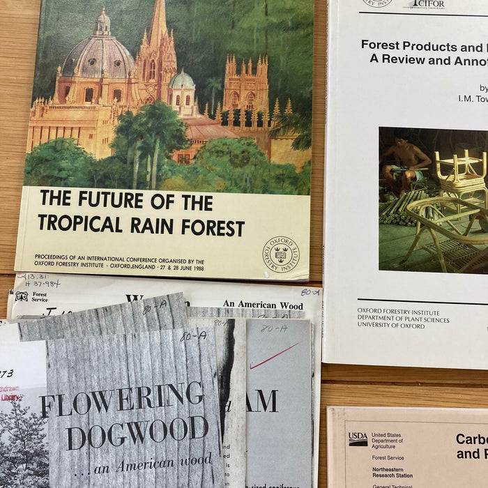 Forests / Rainforests / Trees / Forestry / Oxford US Agriculture Vtg Rare Books - Good