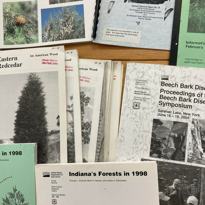 Forest Rainforests / Trees Forestry / USDA / AU / US Agriculture Vtg Rare Books - Good