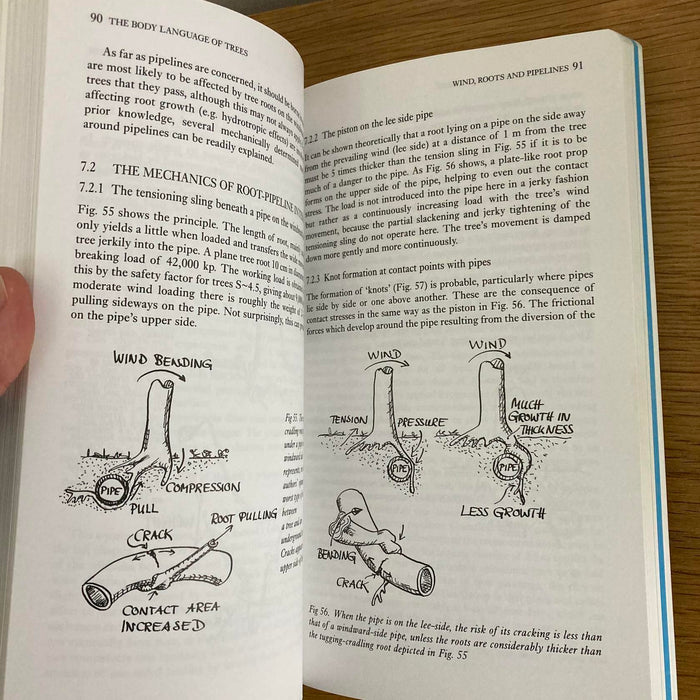 Body Language of Trees: A Handbook for Failure Analysis, Mattheck, Claus Book VG - Very Good