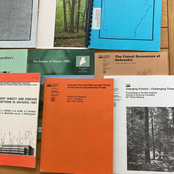 Forest / Rainforests / Trees / Forestry / Oxford / US Agriculture Vtg Rare Books - Good