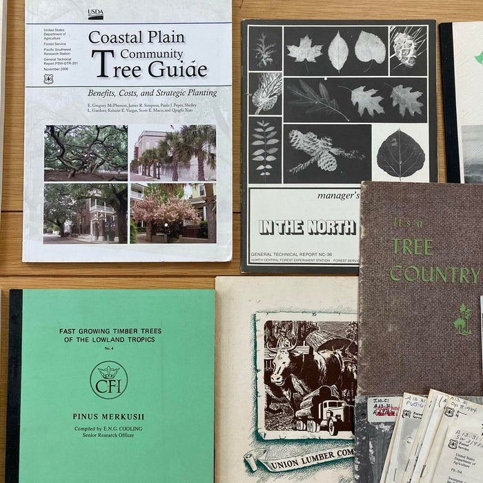 Forests / Rainforests / Trees / Forestry / Oxford US Agriculture Vtg Rare Books - Good