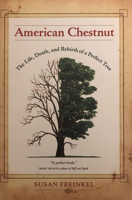 American Chestnut: The Life, Death, and Rebirth of a Perfect Tree Hardback Book - Very Good