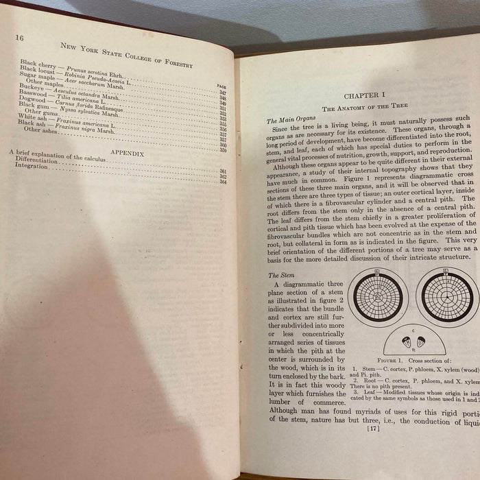 The Technology of New York State Timbers 1926 Syracuse NY University Rare Book - Good