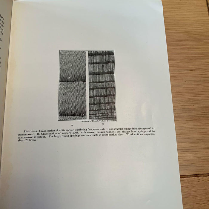 HAYWARD "WOOD, LUMBER & TIMBERS" 1930 HC VG MAPS, TABLES, ILLUSTRATIONS Hardback - Good