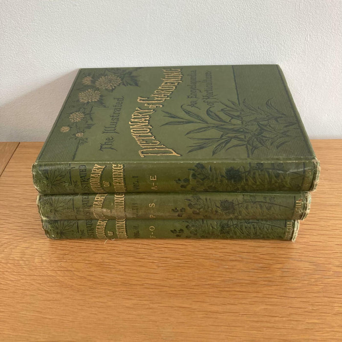 The Illustrated Dictionary of Gardening An Encyclopedia Horticulture 1886 Set - Good