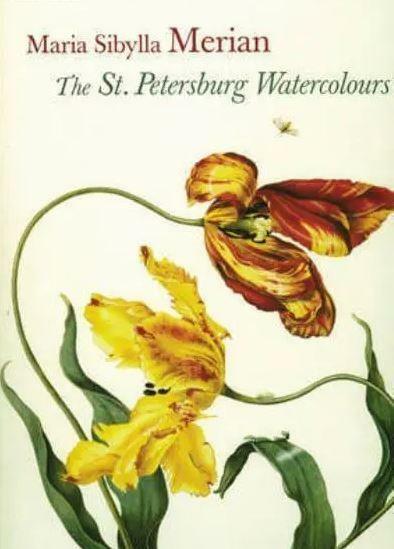 Maria Sibylla Merian: The St. Petersburg Watercolours Hardback Book Rare GC - Very Good - Attic Discovery Shop