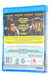 New Sealed The Big Sick Romantic Comedy BLU RAY Movie Film Region B - Attic Discovery Shop