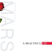 Thirty Seconds To Mars A Beautiful Lie [Vinyl LP] Rare 2016 Release Black Vinyl - Like New - Attic Discovery Shop