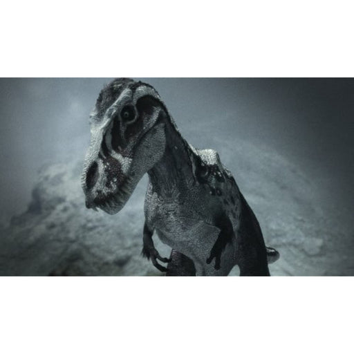 Dinotasia [DVD] [Region 2] - Like New - Like New - Attic Discovery Shop