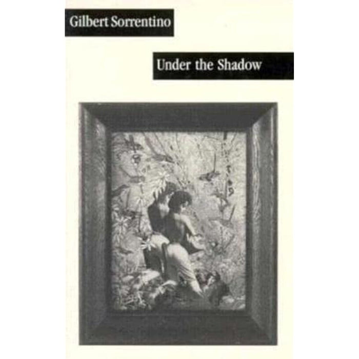 Under the Shadow (American Literature) - Gilbert Sorrentino Paperback Book - Good - Attic Discovery Shop