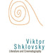 Literature and Cinematography (Dalkey Archive Scholarly) Paperback Book - Good - Attic Discovery Shop