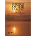 In Pursuit of the Largest - Carp Fishing Clips Terry Hearn & Sharp [DVD] [Reg 2] - Very Good - Attic Discovery Shop