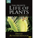 Private Life of Plants - David Attenborough [DVD] [Region 2, 4] - Very Good - Attic Discovery Shop