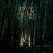 Dum Spiro Spero (Deluxe Edition) Rare CD Album in Original Card Case + Booklet - Very Good - Very Good - Attic Discovery Shop