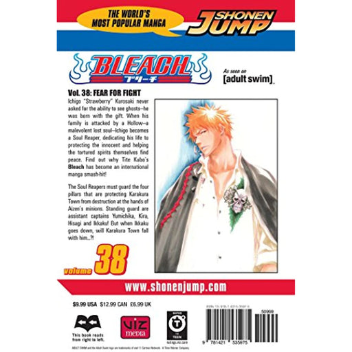 Bleach Volume 38: Vol Fear for Fight Rare EX Library (hardcover) Manga Book READ - Acceptable - Attic Discovery Shop