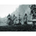 Flowers of St Francis (Criterion Collection) [DVD] [1950] [Reg 1, Rare US - Very Good - Attic Discovery Shop