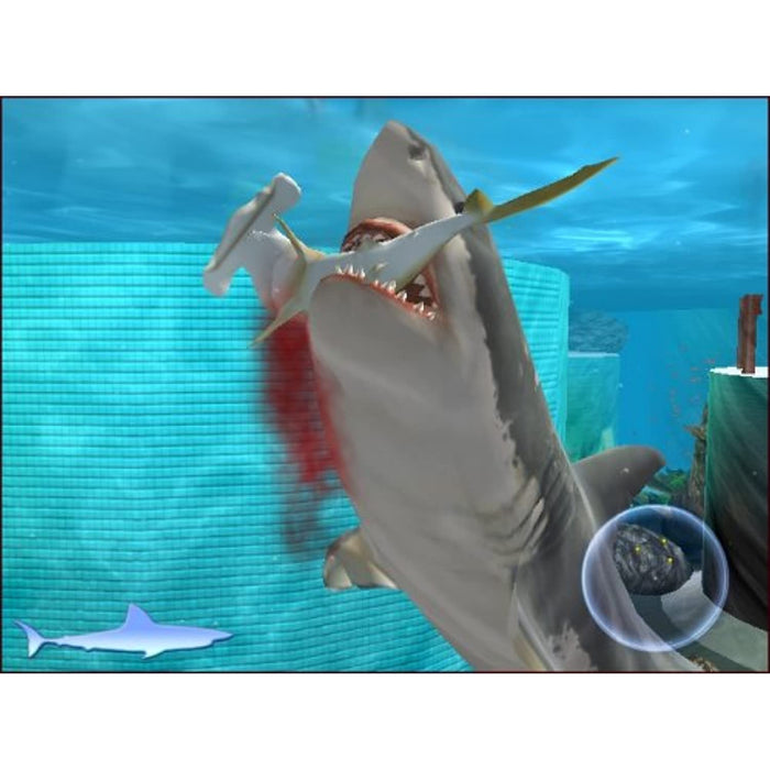 Jaws Unleashed (Xbox Original Game) [PAL] [VGC But Read] [Rare Game] - Acceptable - Attic Discovery Shop