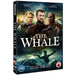 The Whale - BBC [DVD] [Region 2] - Very Good - Attic Discovery Shop
