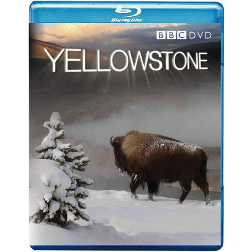 Yellowstone [Blu-ray] [Region Free] - New Sealed - Attic Discovery Shop