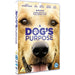 A Dog's Purpose [DVD] [2017] [Region 2] - Like New - Attic Discovery Shop