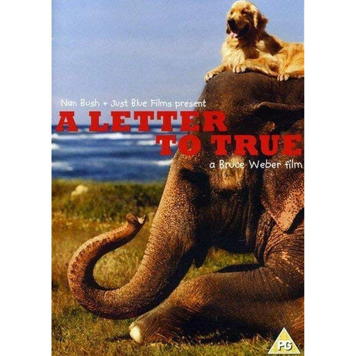 A Letter To True (A Bruce Webber Film) [DVD] [2008] [Region 2] - New Sealed - Attic Discovery Shop