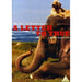 A Letter To True (A Bruce Webber Film) [DVD] [2008] [Region 2] - New Sealed - Attic Discovery Shop