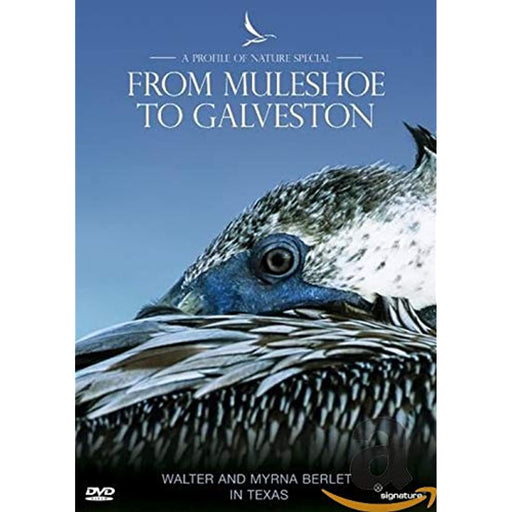 Profiles Of Nature - From Muleshoe To Galveston [DVD] [Region Free] - Like New - Attic Discovery Shop