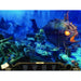 Hidden Expedition 5 The Uncharted Islands Game (Collector's Edition) (PC CD-ROM) - Very Good - Attic Discovery Shop