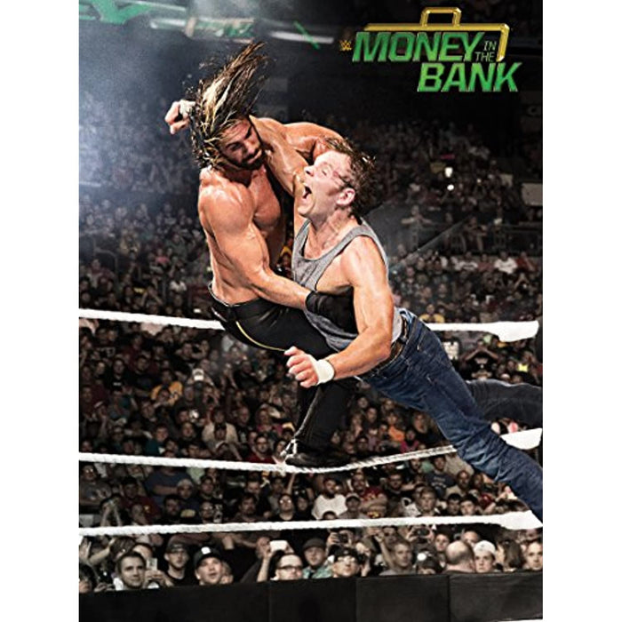 WWE: The Best Pay Per View PPV Matches Of 2015 (3 Disc Set) [DVD] [Region 2, 5] - Very Good - Attic Discovery Shop