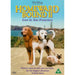 Homeward Bound 2: Lost in San Francisco [DVD] [Region 2] (Walt Disney) - Like New - Attic Discovery Shop
