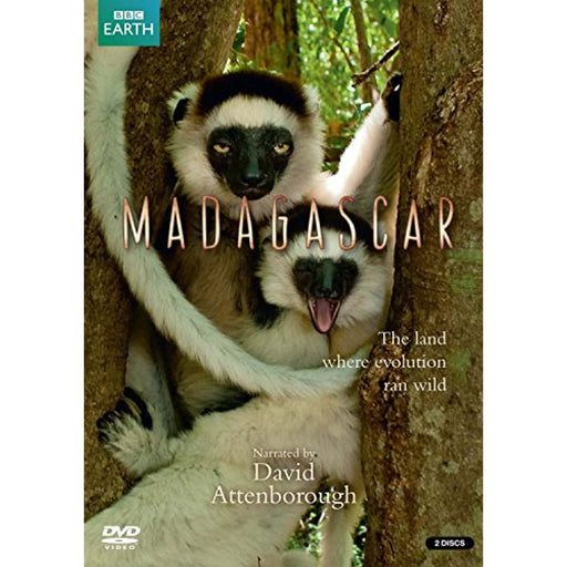 Madagascar [DVD] [Region 2, 4] - (New, Torn Sealed) - Like New - Attic Discovery Shop