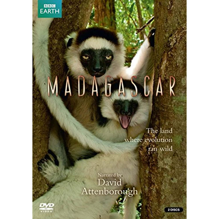 Madagascar [DVD] [Region 2, 4] - (New, Torn Sealed) - Like New - Attic Discovery Shop