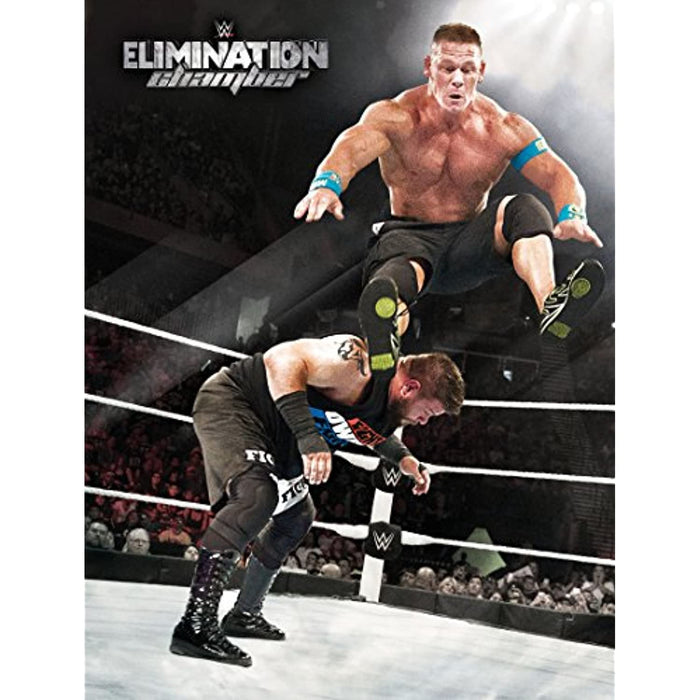 WWE: The Best Pay Per View PPV Matches Of 2015 (3 Disc Set) [DVD] [Region 2, 5] - Very Good - Attic Discovery Shop