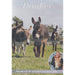 The Donkey Sanctuary - 40 Years On [Rare DVD] [Region 2] - New Sealed - Attic Discovery Shop