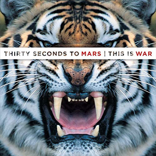 Thirty Seconds To Mars This Is War (12" Double) [VINYL LP Album] [2009 Release] - Like New - Attic Discovery Shop