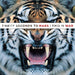 Thirty Seconds To Mars This Is War (12" Double) [VINYL LP Album] [2009 Release] - Like New - Attic Discovery Shop