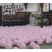 Another Fine Mess by FC Kahuna (2003-07-22) Various Artists [CD Album] - Very Good - Attic Discovery Shop
