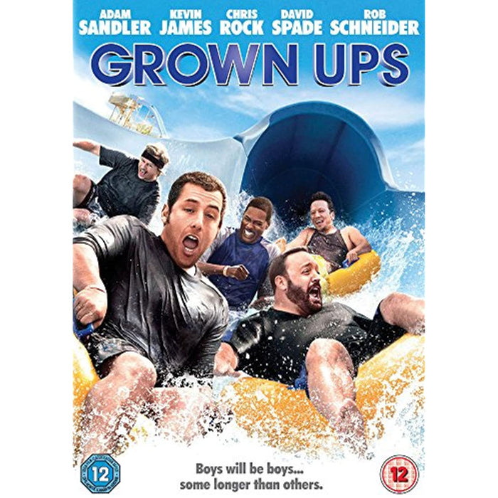 Grown Ups - Adam Sandler [DVD] [2011] [Region 2] - New Sealed - Attic Discovery Shop