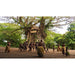 Tanna [DVD] - [Region 2] - (New, Number Written On Cellophane Wrapper) - Like New - Like New - Attic Discovery Shop