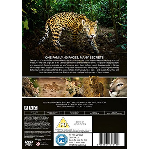 Big Cats - BBC Earth [2018] [DVD] [Region 2, 4] - Very Good - Attic Discovery Shop