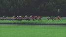Champion Jockey (Xbox 360 Game) G1 Jockey & Gallop Racer - Very Good - Attic Discovery Shop