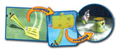 SpongeBob: Truth or Square (PSP PlayStation Portable Game) - Very Good - Attic Discovery Shop